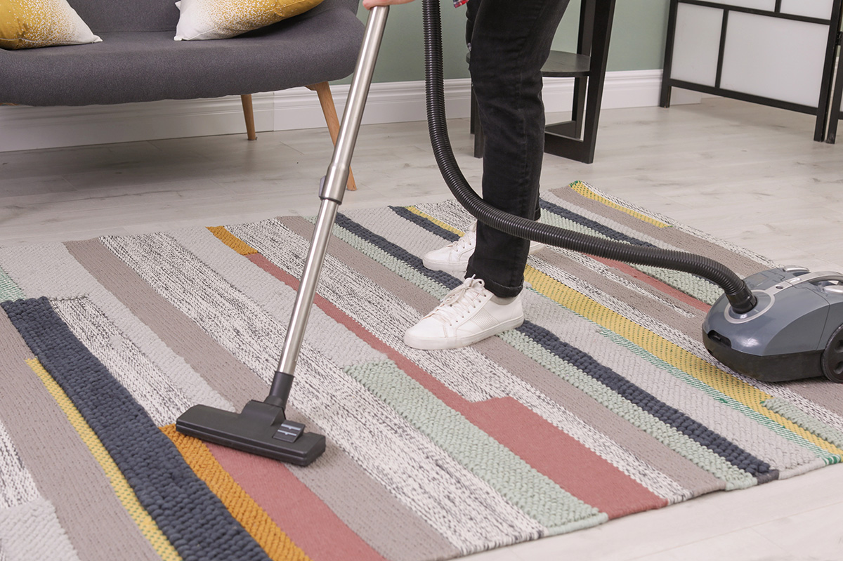 upholstery and carpet cleaning Hawthorn home service