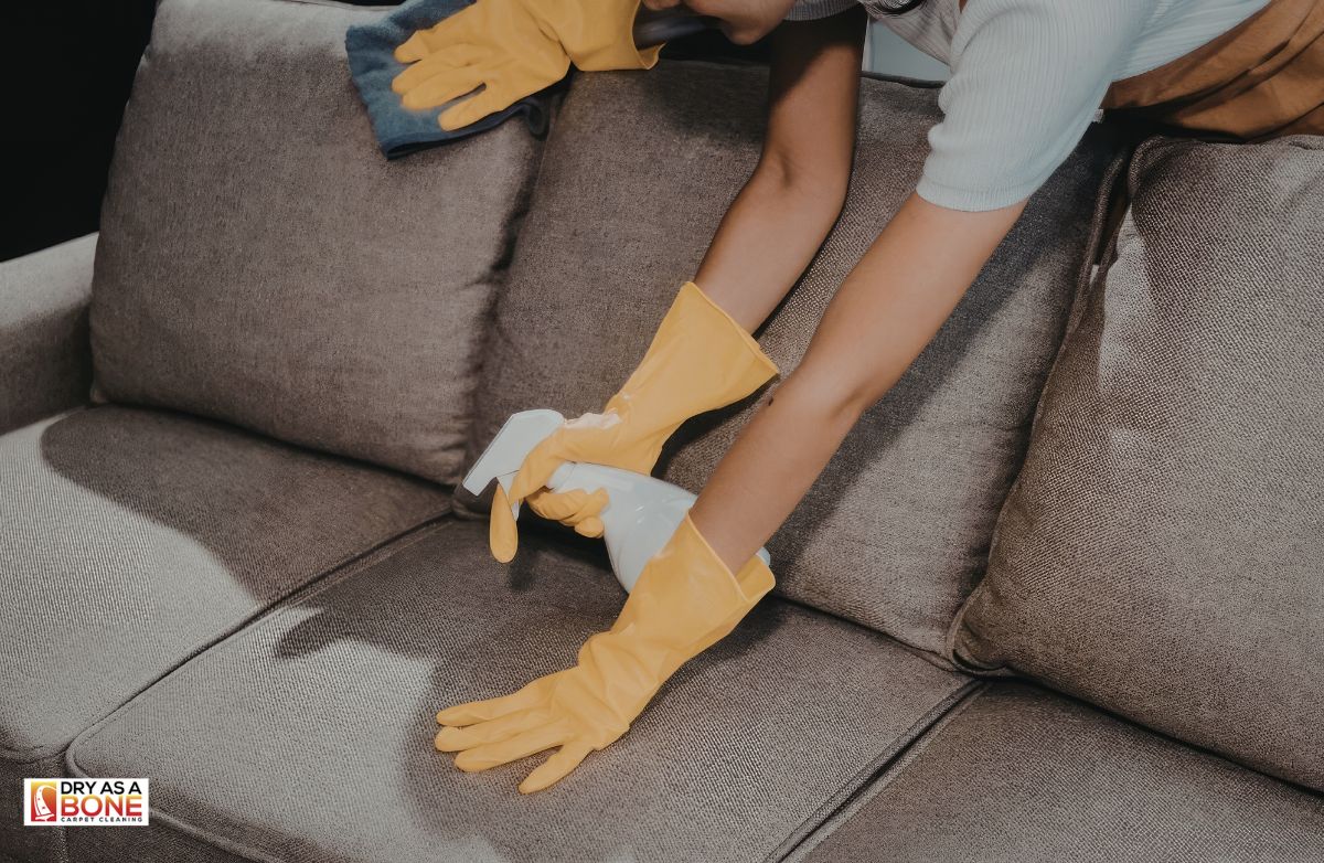 carpet steam cleaning Footscray deep cleaning machine