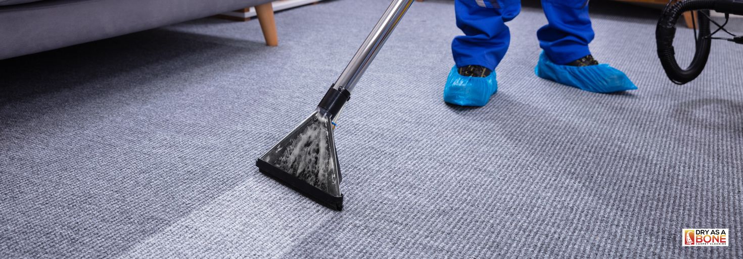 carpet cleaning Hawthorn professional service