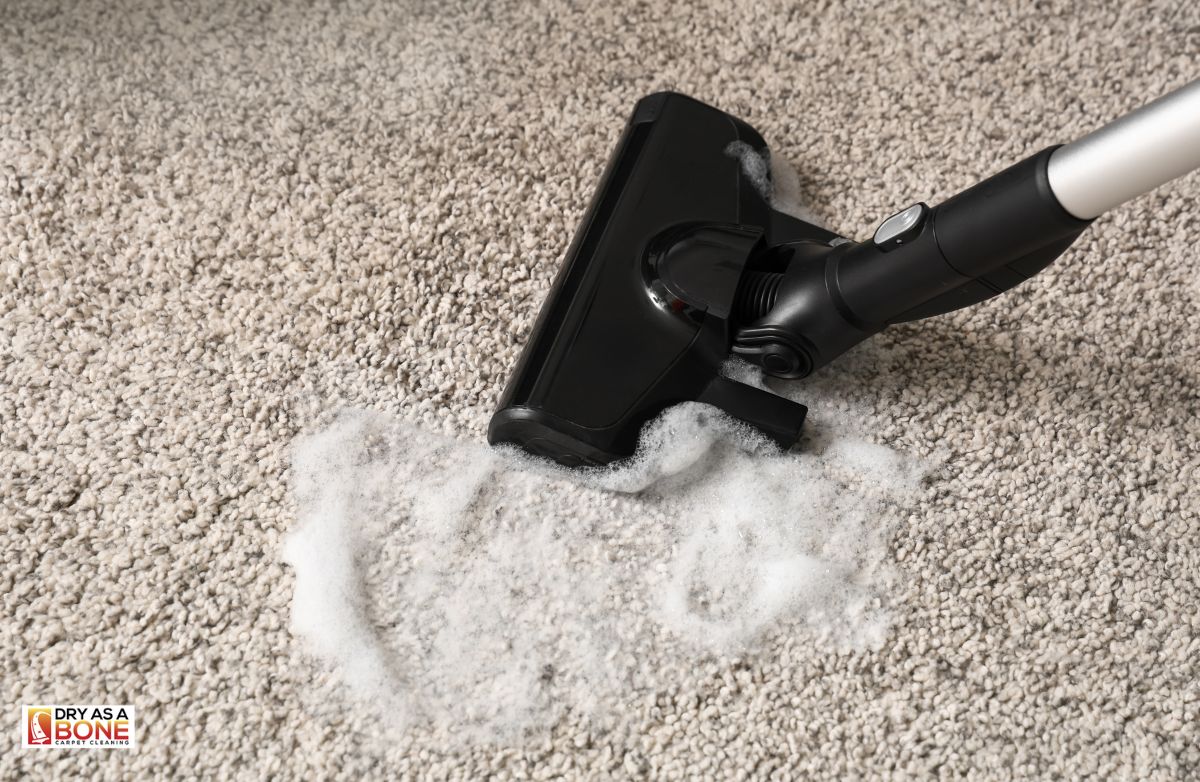 upholstery and carpet cleaning Sunshine home service